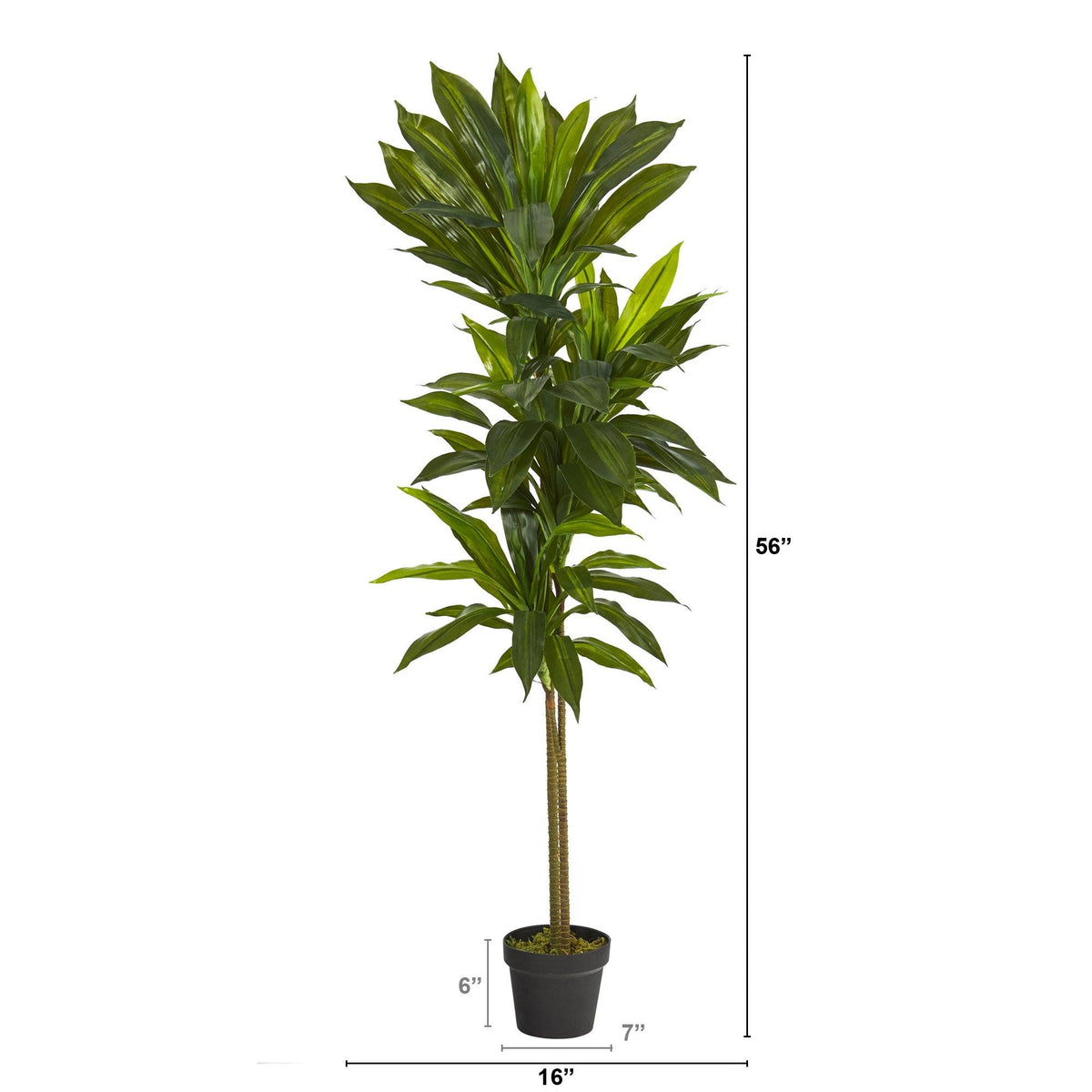 56” Dracaena Artificial Plant (Real Touch), photo 2 of 4