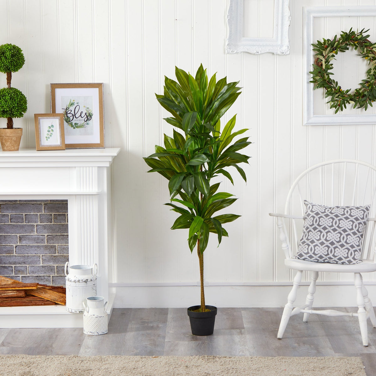 56” Dracaena Artificial Plant (Real Touch), photo 4 of 4