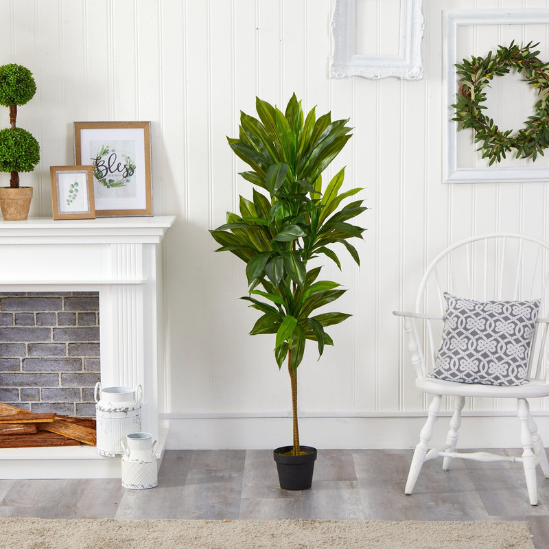 56” Dracaena Artificial Plant (Real Touch), photo 4 of 4