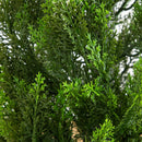 56" UV Resistant Artificial Cedar Tree in White Tower Planter (Indoor/Outdoor)
