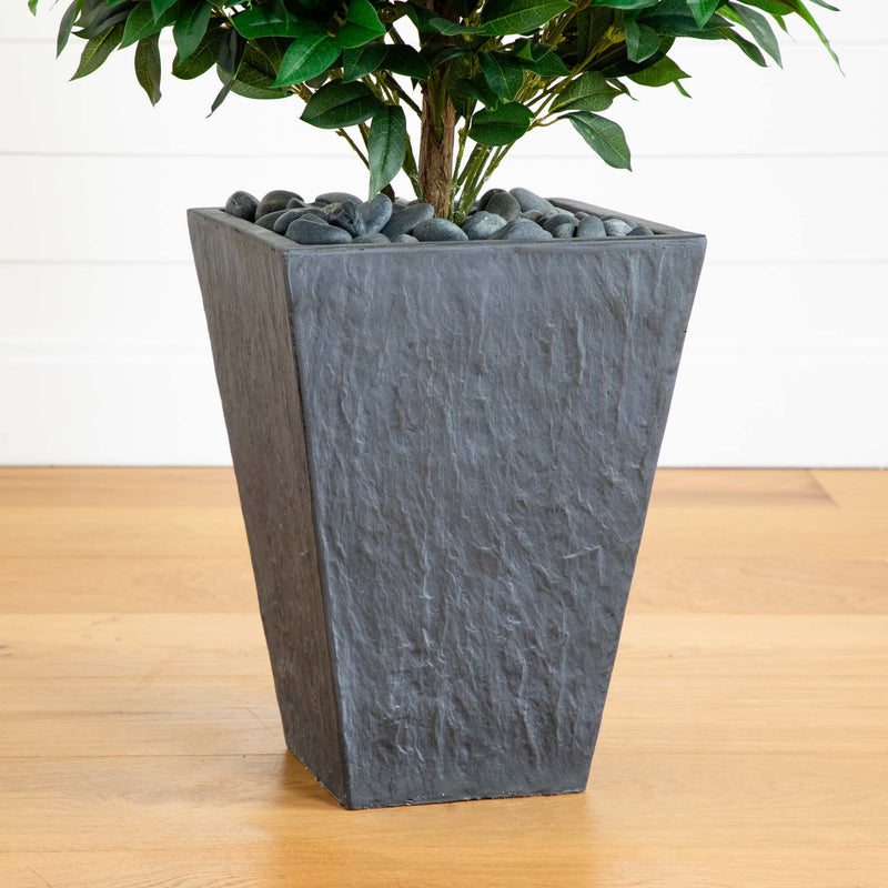 57” Bay Leaf Cone Topiary Tree in Slate Planter (Indoor/Outdoor)