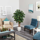 57” Sakaki Artificial Tree in White Planter
