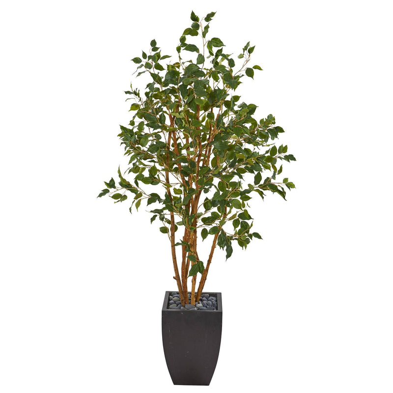 58” Ficus Artificial Tree in Black Planter