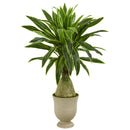 59” Dracaena Artificial Plant in Decorative Urn