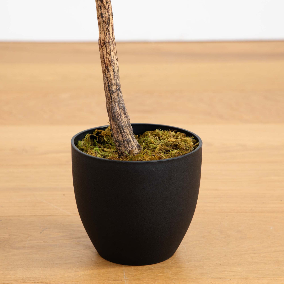 59” Fiddle Leaf Artificial Tree (Real Touch), photo 3 of 4