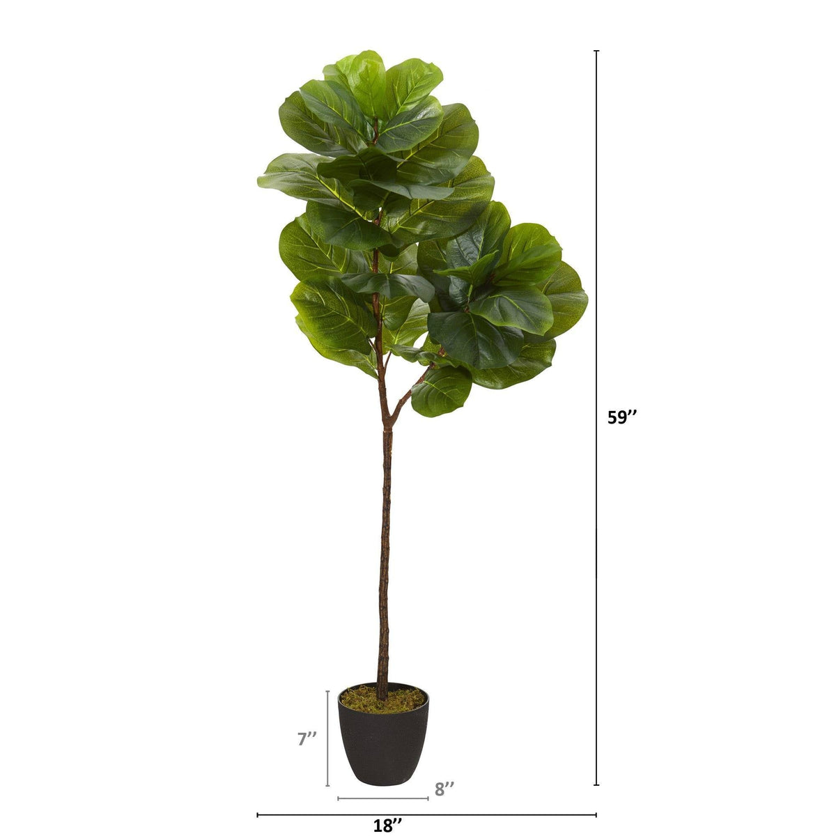 59” Fiddle Leaf Artificial Tree (Real Touch), photo 4 of 4