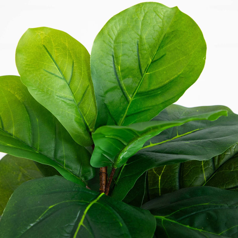 59” Fiddle Leaf Artificial Tree (Real Touch), photo 2 of 4