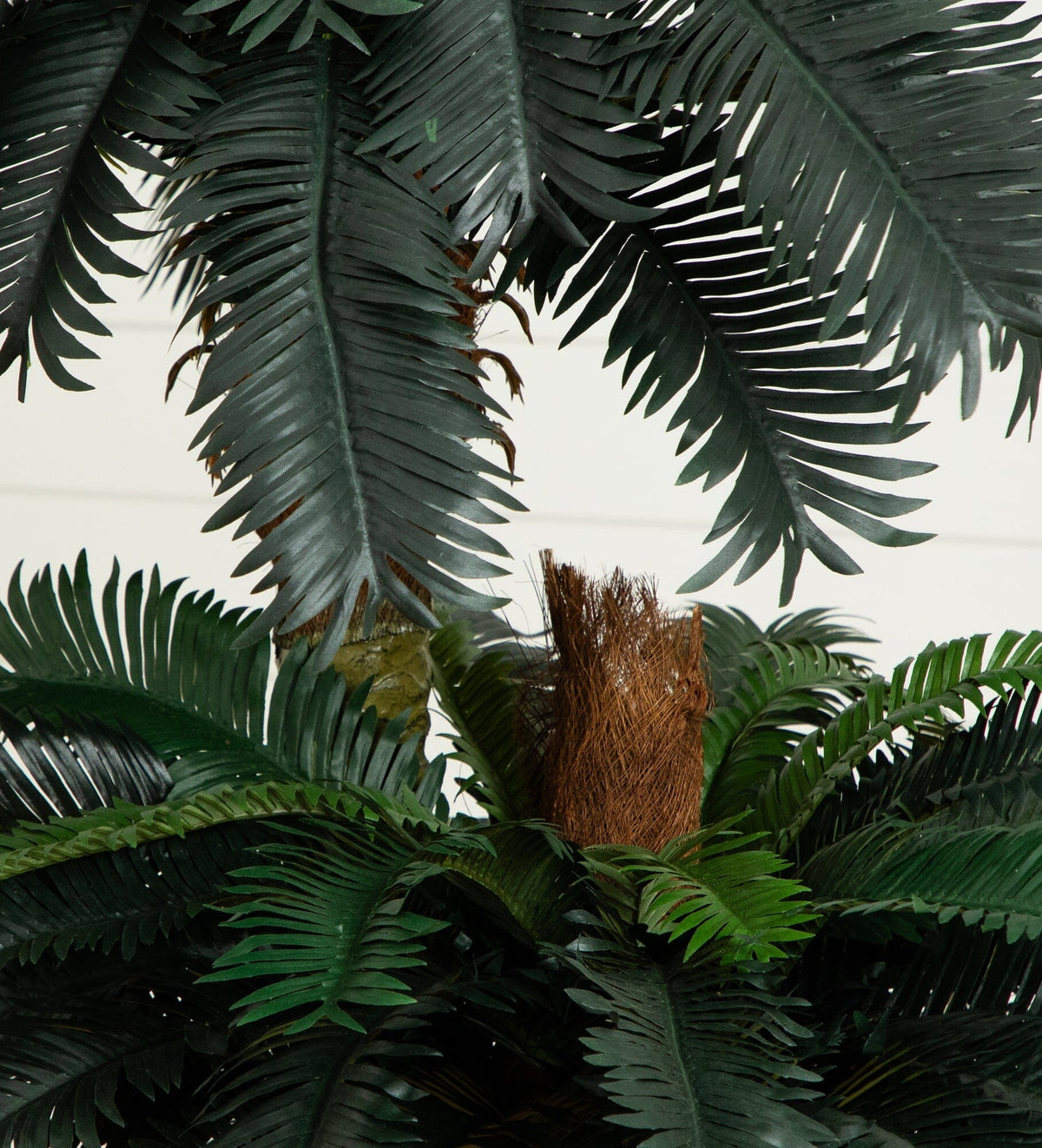 6' & 4' Sago Palm Double Potted Silk Tree, photo 2 of 5