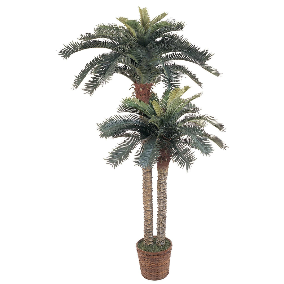 6' & 4' Sago Palm Double Potted Silk Tree, photo 5 of 5