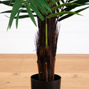 6’ Areca Palm Tree