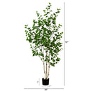 6’ Artificial Birch Tree with Real Touch Leaves by Nearly Natural