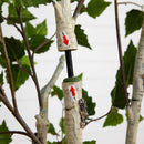 6’ Artificial Birch Tree with Real Touch Leaves by Nearly Natural