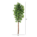 6’ Artificial Double Trunk Ficus Tree (No Pot)