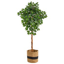 6’ Artificial Ficus Tree with Handmade Jute & Cotton Basket