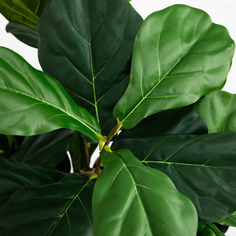 6’ Artificial Fiddle Leaf Fig Tree, photo 2 of 3