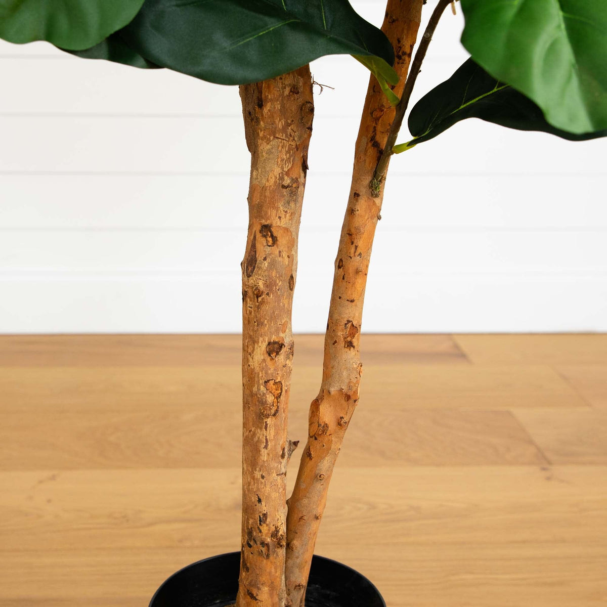 6’ Artificial Fiddle Leaf Fig Tree, photo 3 of 3