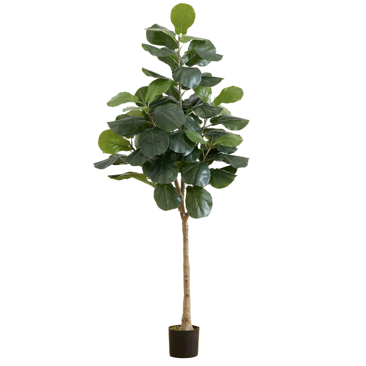 6’ Artificial Fiddle Leaf Tree, photo 5 of 5
