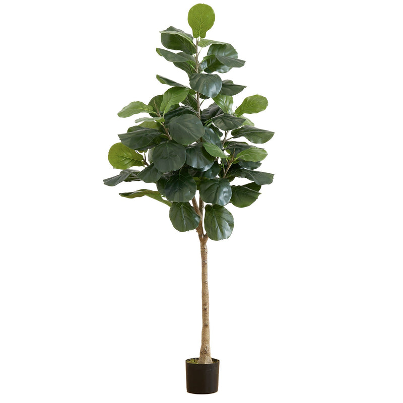 6’ Artificial Fiddle Leaf Tree, photo 5 of 5