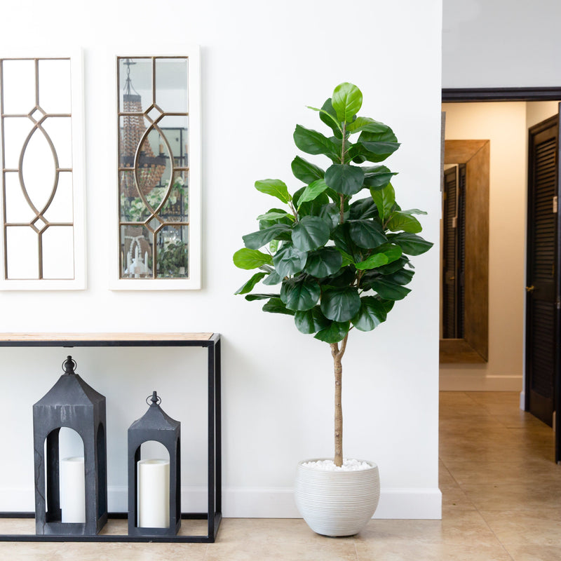 6’ Artificial Fiddle Leaf Tree, photo 3 of 5