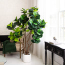 6’ Artificial Grand Fiddle Leaf Tree in White Decorative Planter