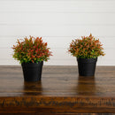6” Artificial Grass Plant in Black Pot - Set of 2