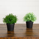 6” Artificial Grass Plant in Black Pot - Set of 2