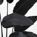 6' Artificial Halloween Black Traveler's Palm Tree