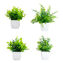 6” Artificial Mixed Botanical Plant in White Square Pot - Set of 4