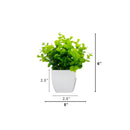 6” Artificial Mixed Botanical Plant in White Square Pot - Set of 4