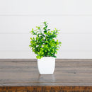 6” Artificial Mixed Botanical Plant in White Square Pot - Set of 4