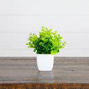 6” Artificial Mixed Botanical Plant in White Square Pot - Set of 4
