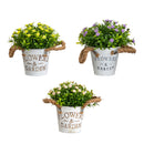 6" Artificial Mixed Button Pom Plant in Rustic Flowers & Garden Planter -Set of 3