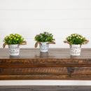 6" Artificial Mixed Button Pom Plant in Rustic Flowers & Garden Planter -Set of 3