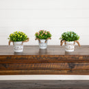 6" Artificial Mixed Button Pom Plant in Rustic Flowers & Garden Planter -Set of 3