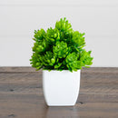 6” Artificial Mixed Succulent in White Square Pot - Set of 3