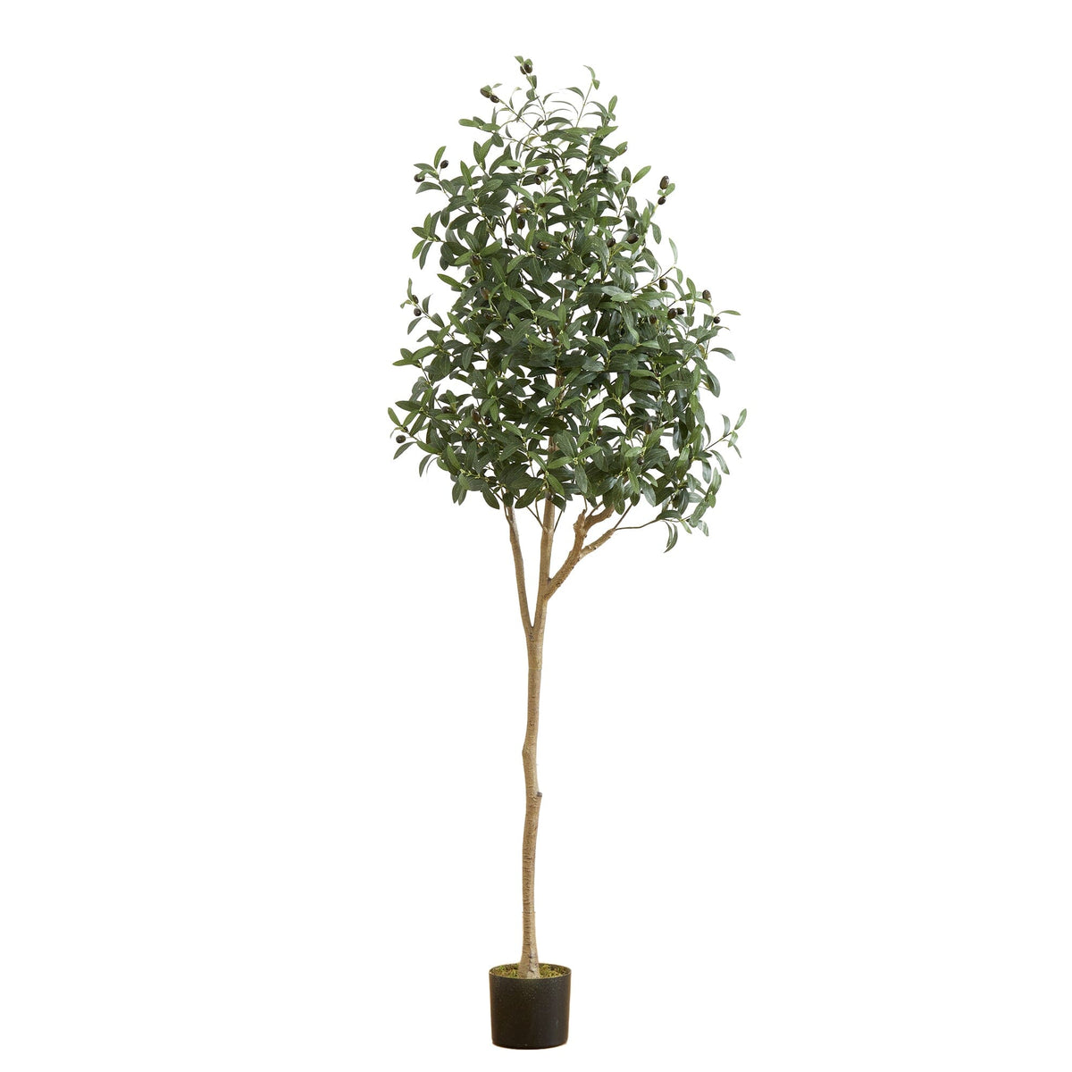 6’ Artificial Olive Tree, photo 5 of 5