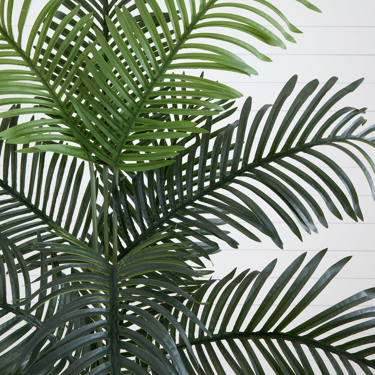 6’ Artificial Paradise Palm with White Decorative Planter, photo 2 of 7