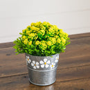 6” Artificial Succulent flowering Plant in Decorative Daisy Tin Planter -Set of 3