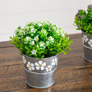6” Artificial Succulent flowering Plant in Decorative Daisy Tin Planter -Set of 3