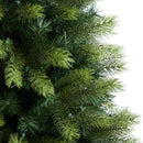 6' Aspen Mountain Fir Christmas Tree with 350 Clear LED Lights and 1110 Bendable Branches