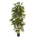 6' Bamboo Tree by Nearly Natural