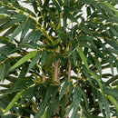 6' Bamboo Tree by Nearly Natural