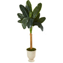 6’ Banana Artificial Tree in Decorative Urn