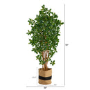 6’ Black Olive Artificial Tree in Handmade Natural Cotton Planter