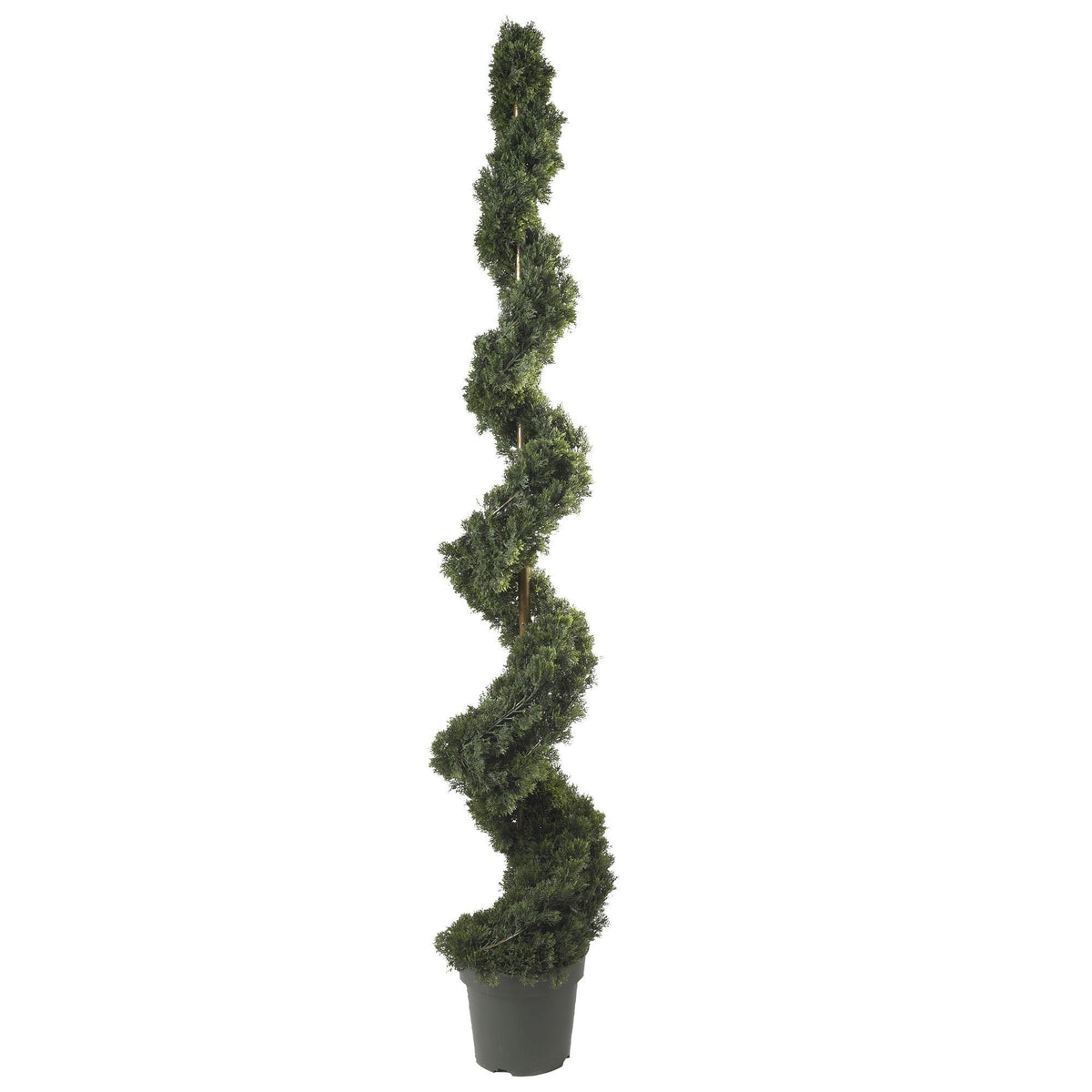 6' Cedar Spiral Silk Tree (In-door/Out-door), photo 3 of 3