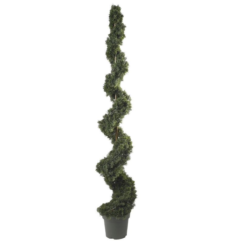6' Cedar Spiral Silk Tree (In-door/Out-door), photo 3 of 3