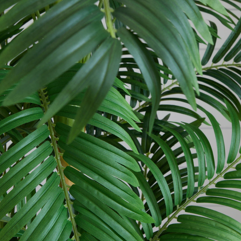 6’ Curvy Parlor Palm Silk Tree