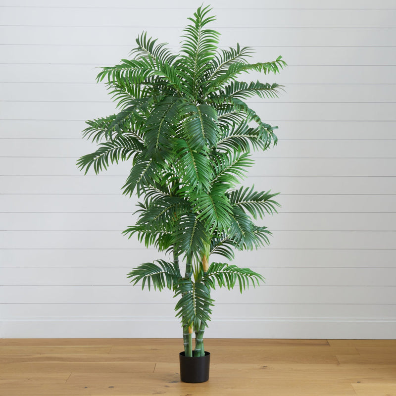 6’ Curvy Parlor Palm Silk Tree