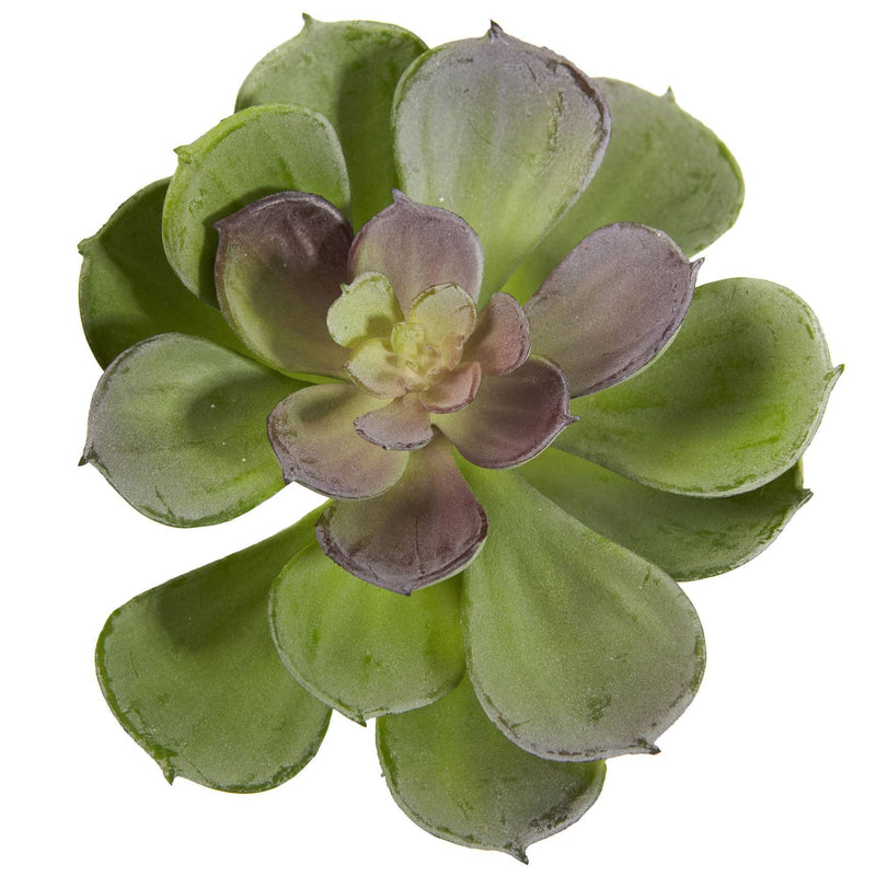 6” Artificial Echeveria Succulent (Set of 12)