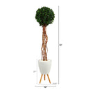 6’ English Ivy Single Ball Artificial Topiary Tree in White Planter with Stand (Indoor/Outdoor)